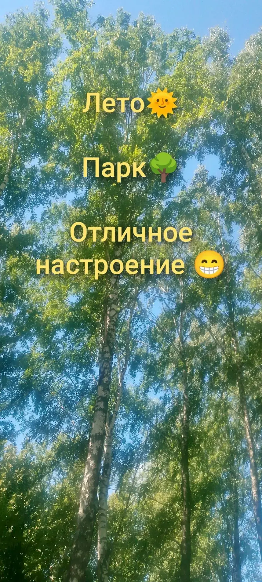 Лето🌞парк🌳и отличное настроение🤩