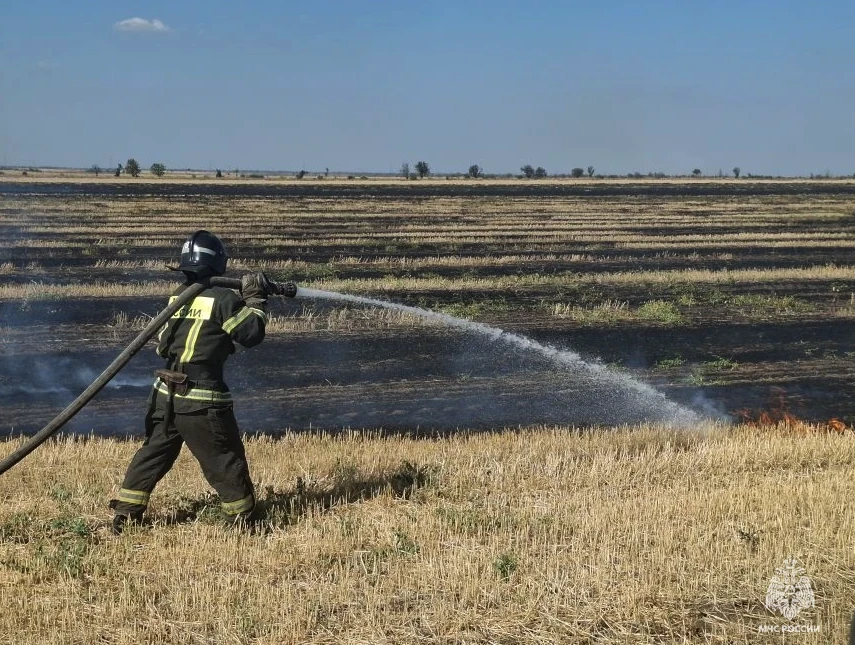 🚒Оперативная информация за сутки