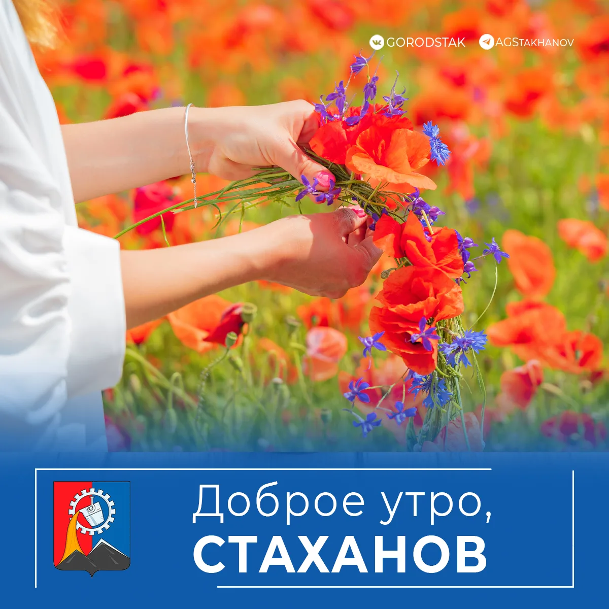 🌾 Доброе утро, родной город!