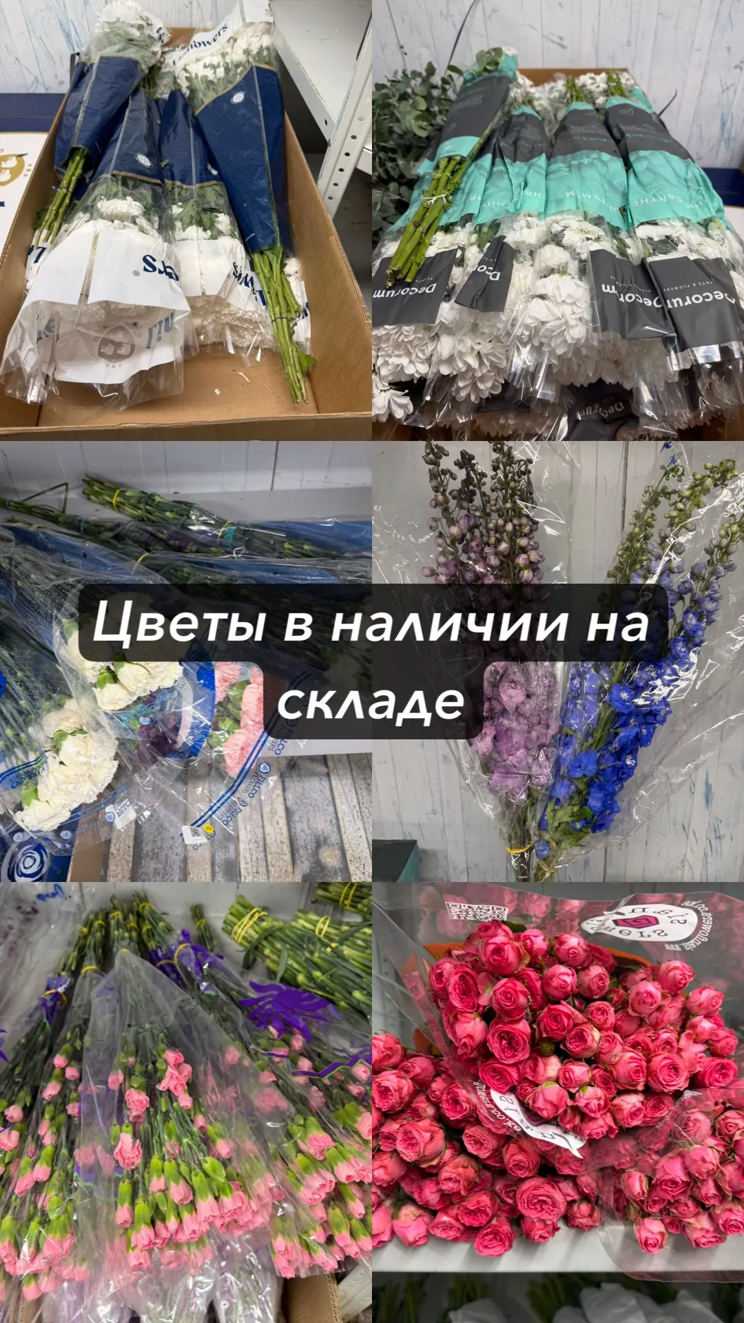 В наличии на складе цветы со свежей поставки . Кому скинуть прайс отложить цветок пишите или звоните