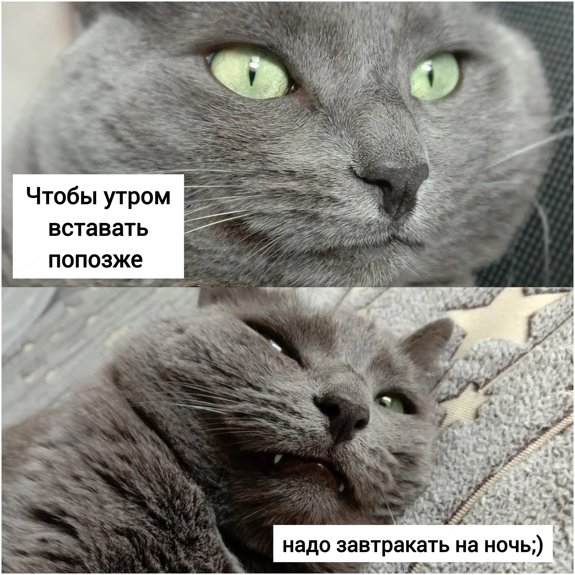 Ну гениально же😀