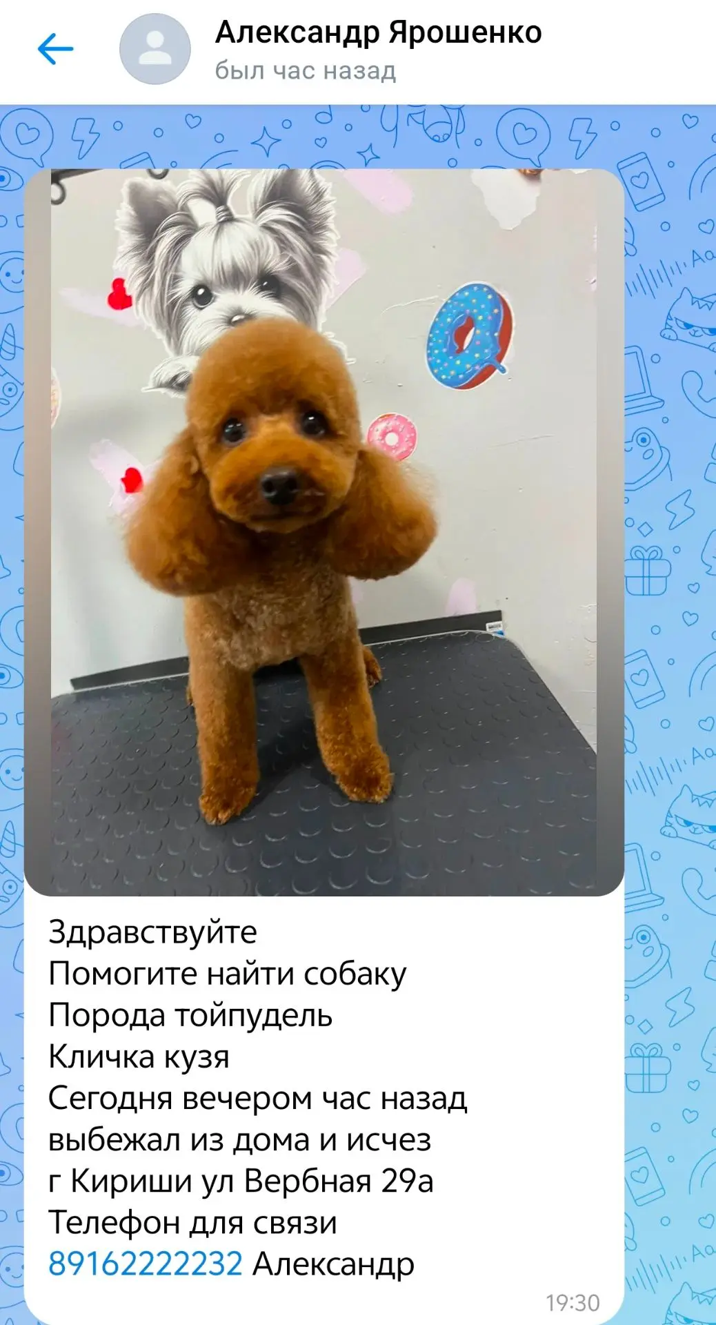 https://vk.ru/id814074356