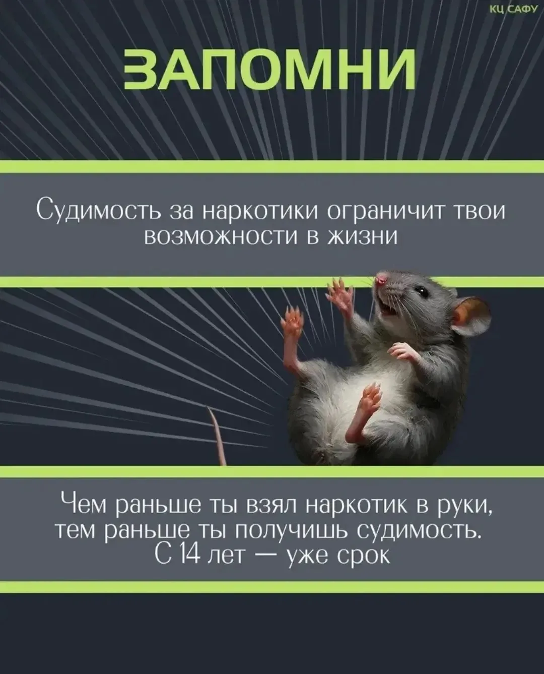 "Будущее без курения-это твоё здоровье,твоя свобода,твоя жизнь!" 

В рамках Акции "Время Независимых