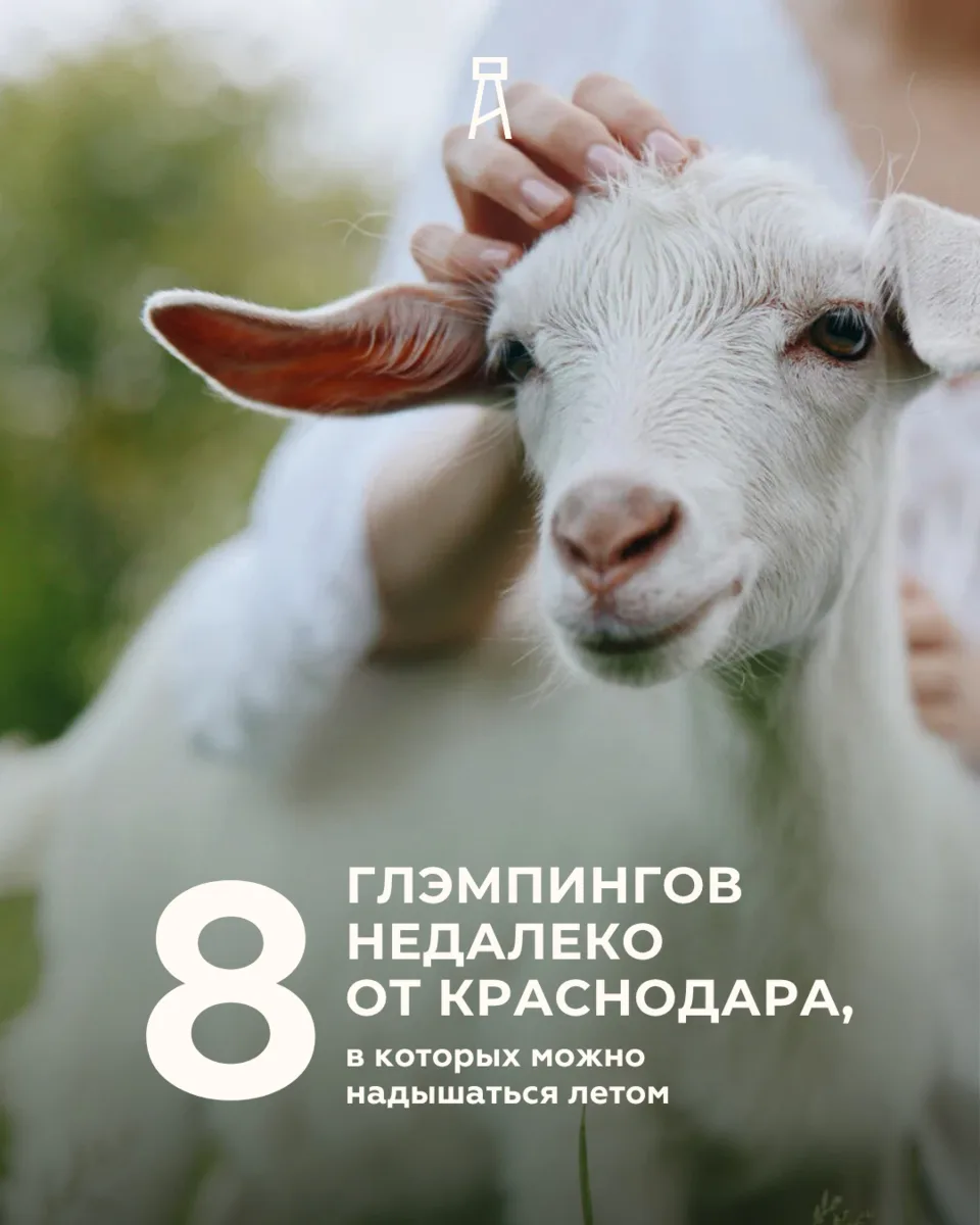 ВОСЕМЬ ГЛЭМПИНГОВ НЕДАЛЕКО ОТ КРАСНОДАРА,
