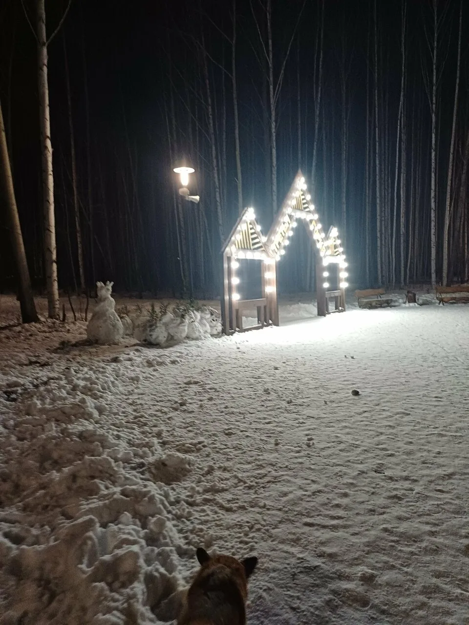 Присылайте Ваши фото в "Предложить пост"