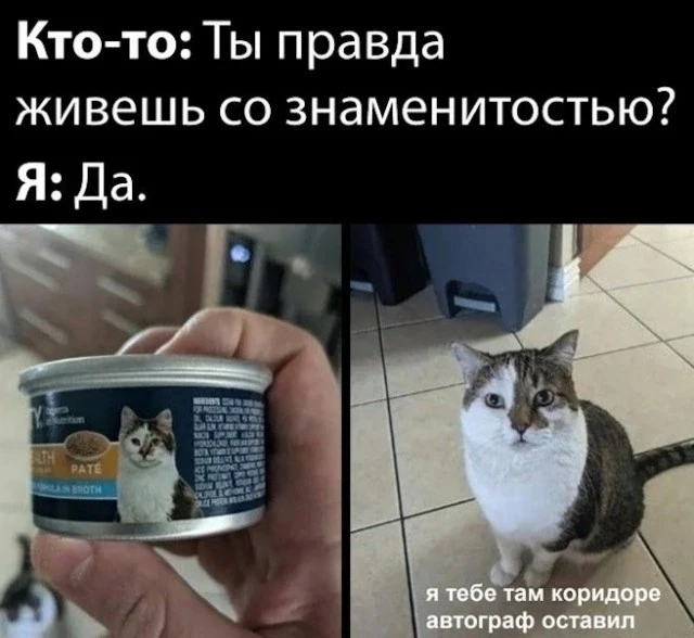 Подпишись на юмор 😂