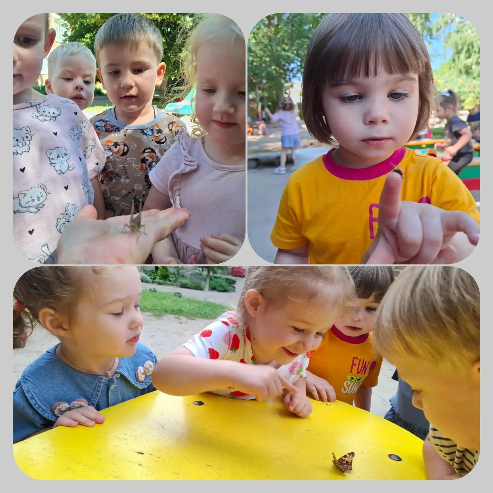 Лето в детском саду — это настоящий природный класс под открытым небом. На прогулках мы с ребятами в