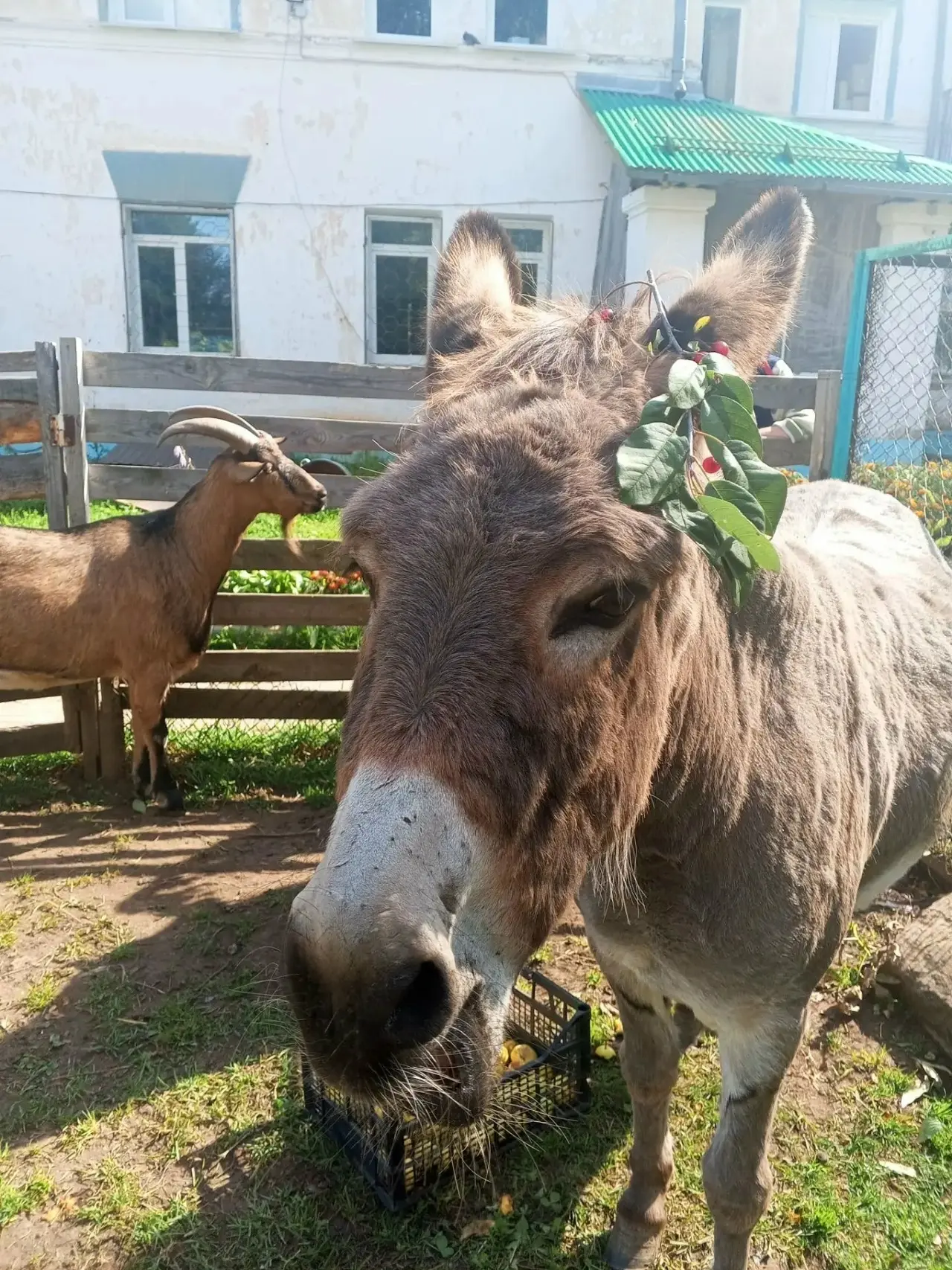 📚❗С Днём знаний! Пусть этот учебный год будет полон удивительных открытий, ярких впеча...
