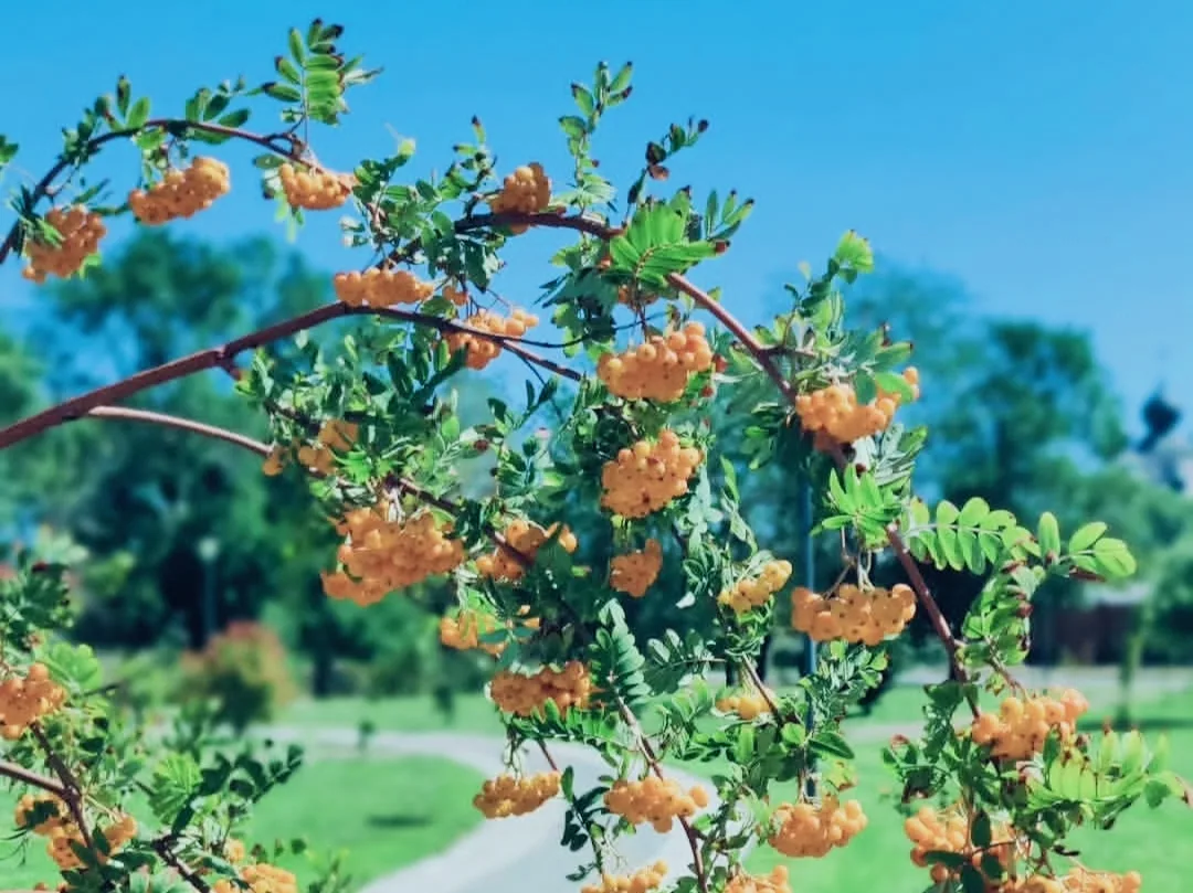Доброе спортивное ☀️