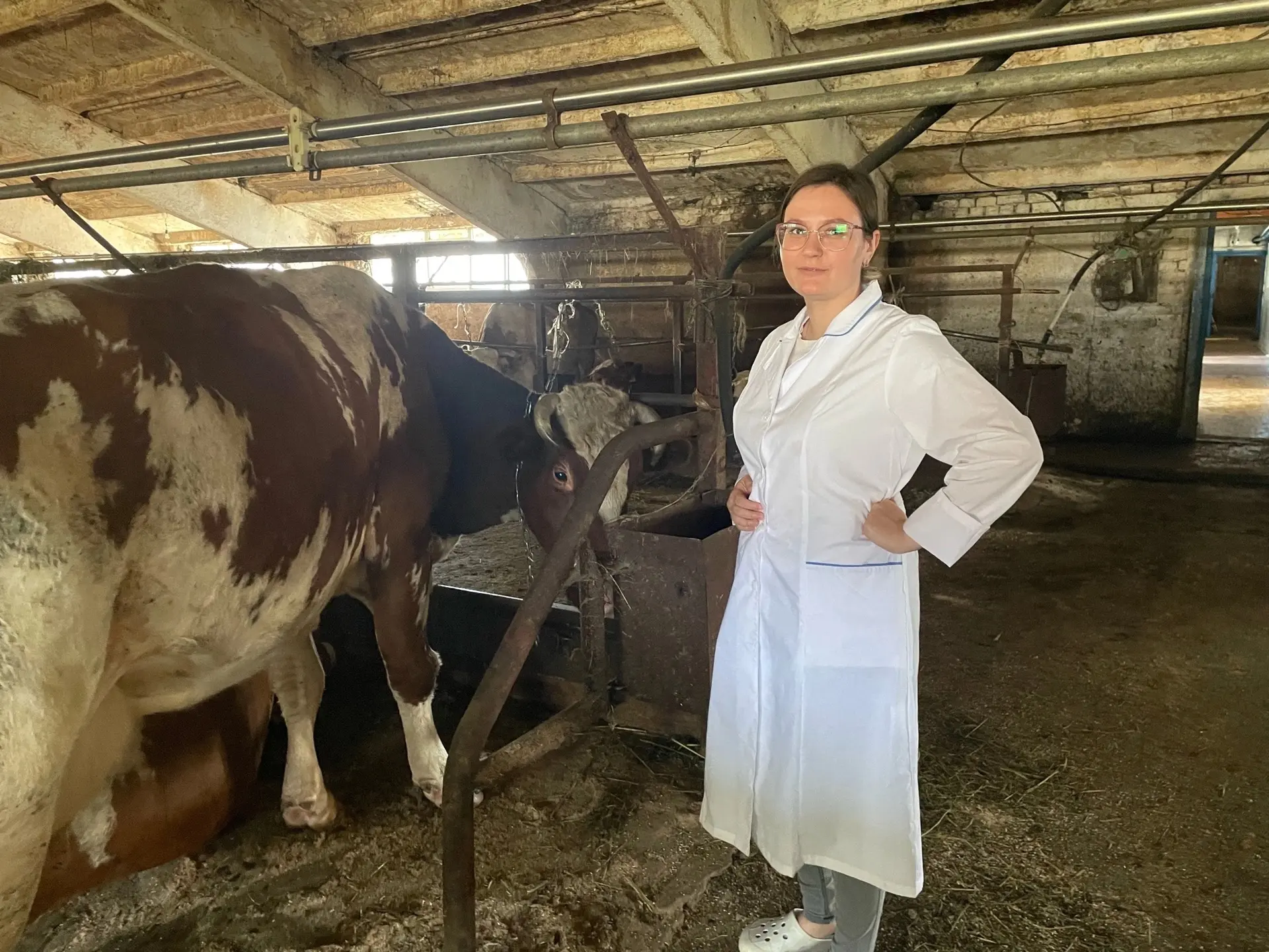 🐄Закулисье ветеринарных будней.
