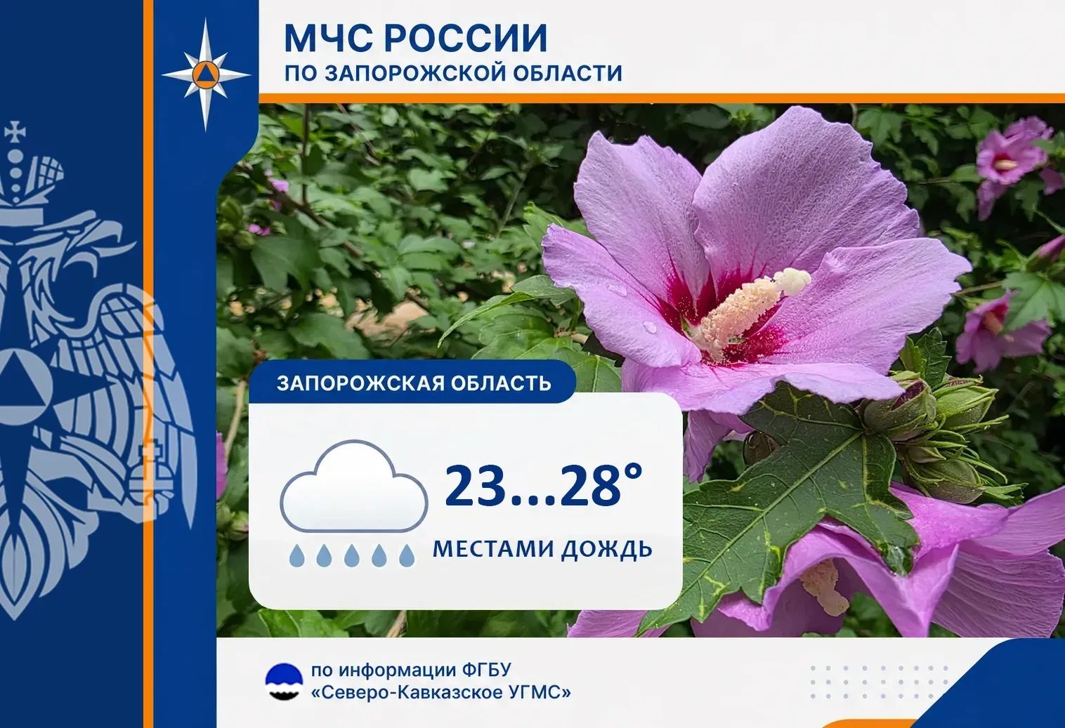 ⚡️⚡️⚡️⚡️
С 10 на 11 июля на территории региона ожидается:

🔔переменная облачность. Местами кратковр