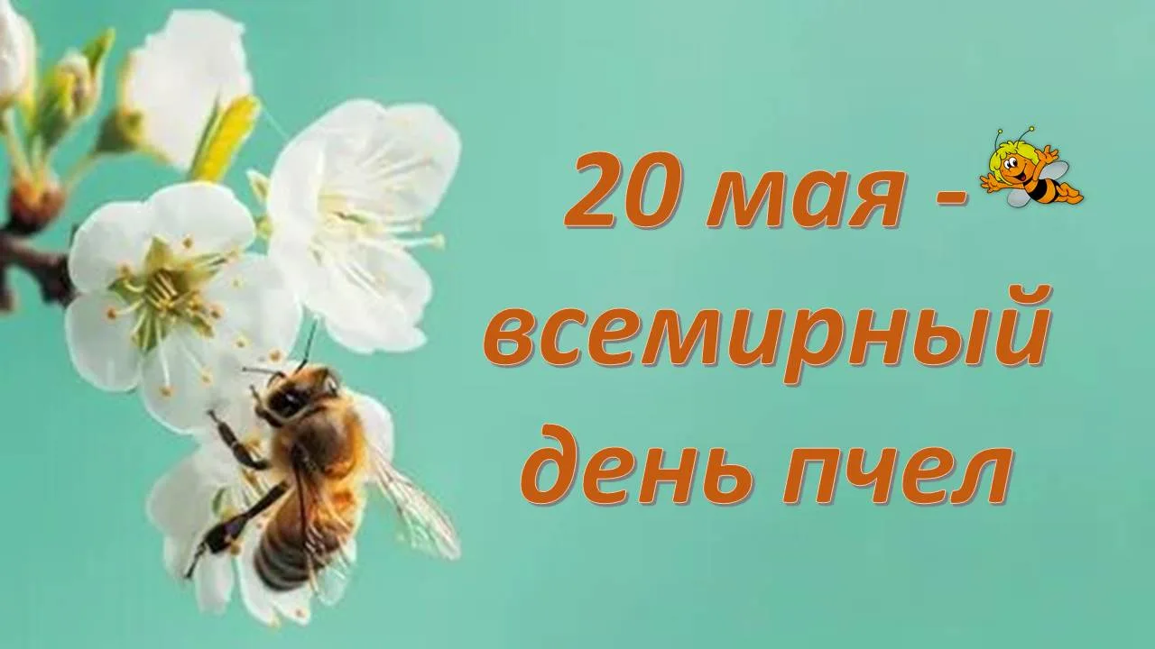 Группа "Пчелки" 20 мая отметили день Пчёл. День пчел ежегодно отмечают в одно и то же в...