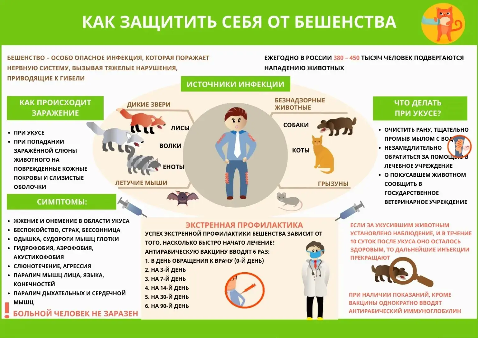 Памятка о мерах по профилактике распространения бешенства