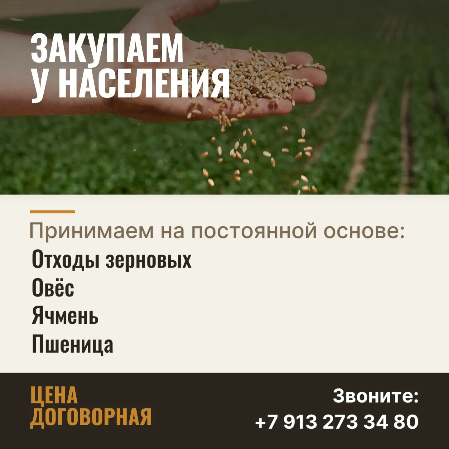 Закупаем у населения: