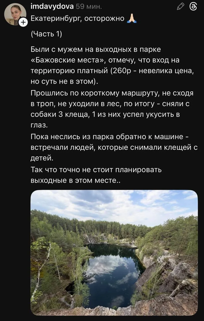 Екатеринбурженка предупредила о клещах в парке «Бажовские места» 😪   С пёсика сняли три клеща. А по 