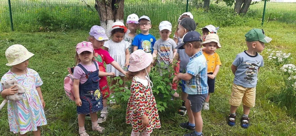 Где живут листочки? 🍃                                                           Ребята...