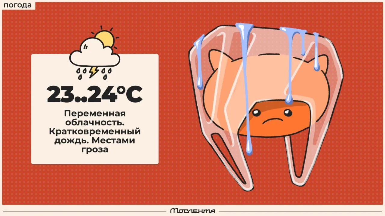 Доброе утро, москвичи! Мы дожили до пятницы — это успех! Осталось пережить её 😄