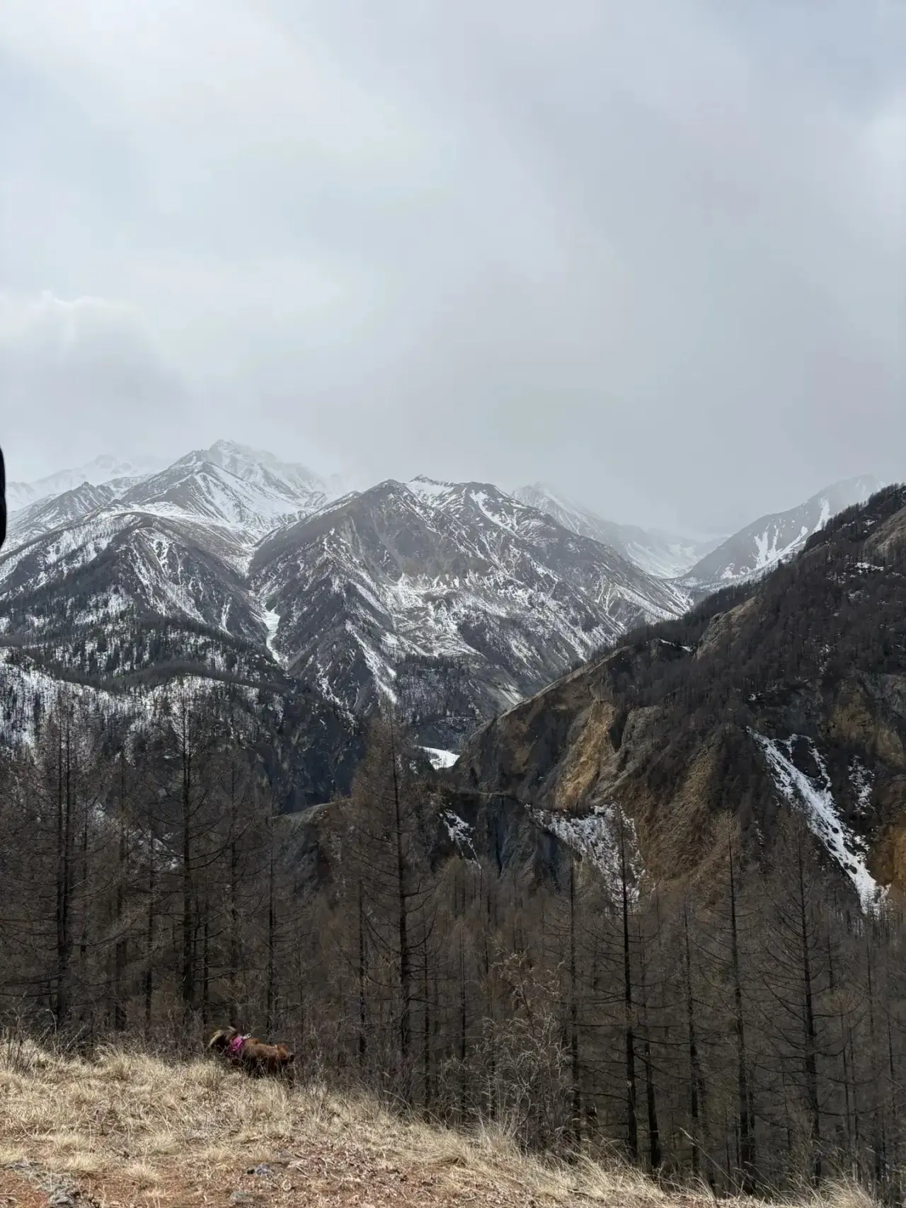 🏔✨ УВЛЕКАТЕЛЬНОЕ ПУТЕШЕСТВИЕ 5Г КЛАССА! ✨🏔  Эти выходные для учеников 5Г класса стали настоящим прик