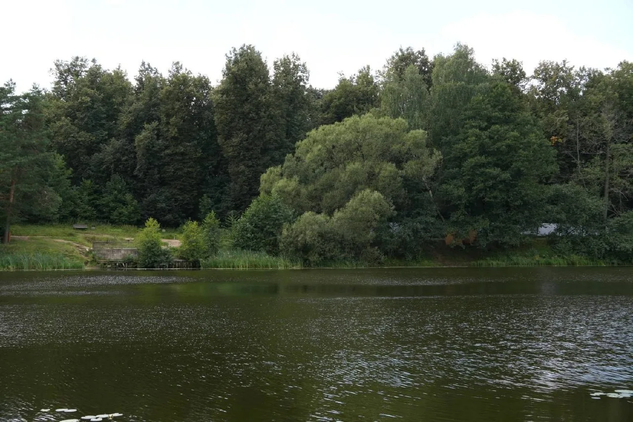 Реконструкция парка продолжается 🌳