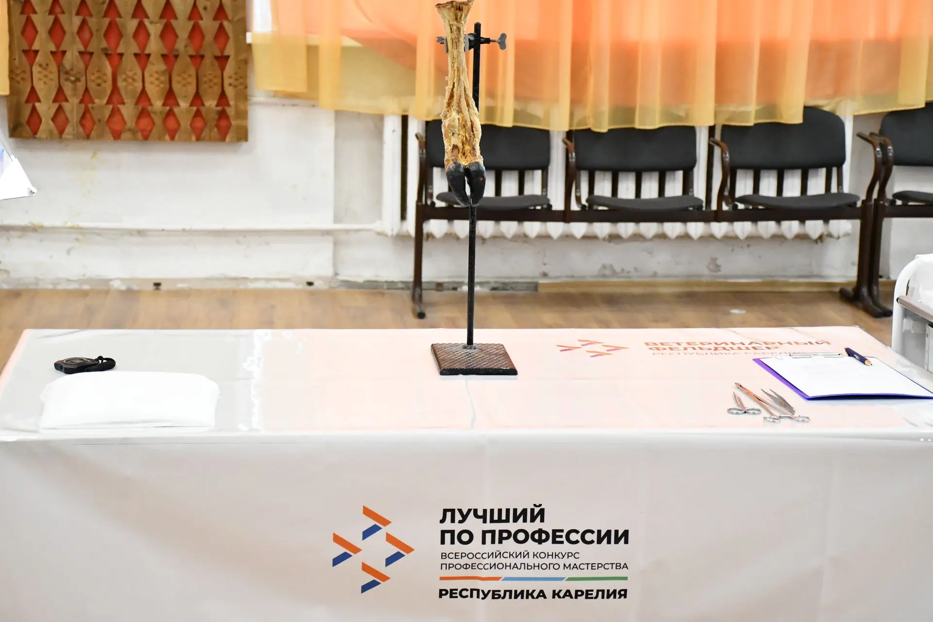Сегодня на площадке ГАПОУ РК «Сортавальский колледж» стартовал региональный этап Всероссийского конк