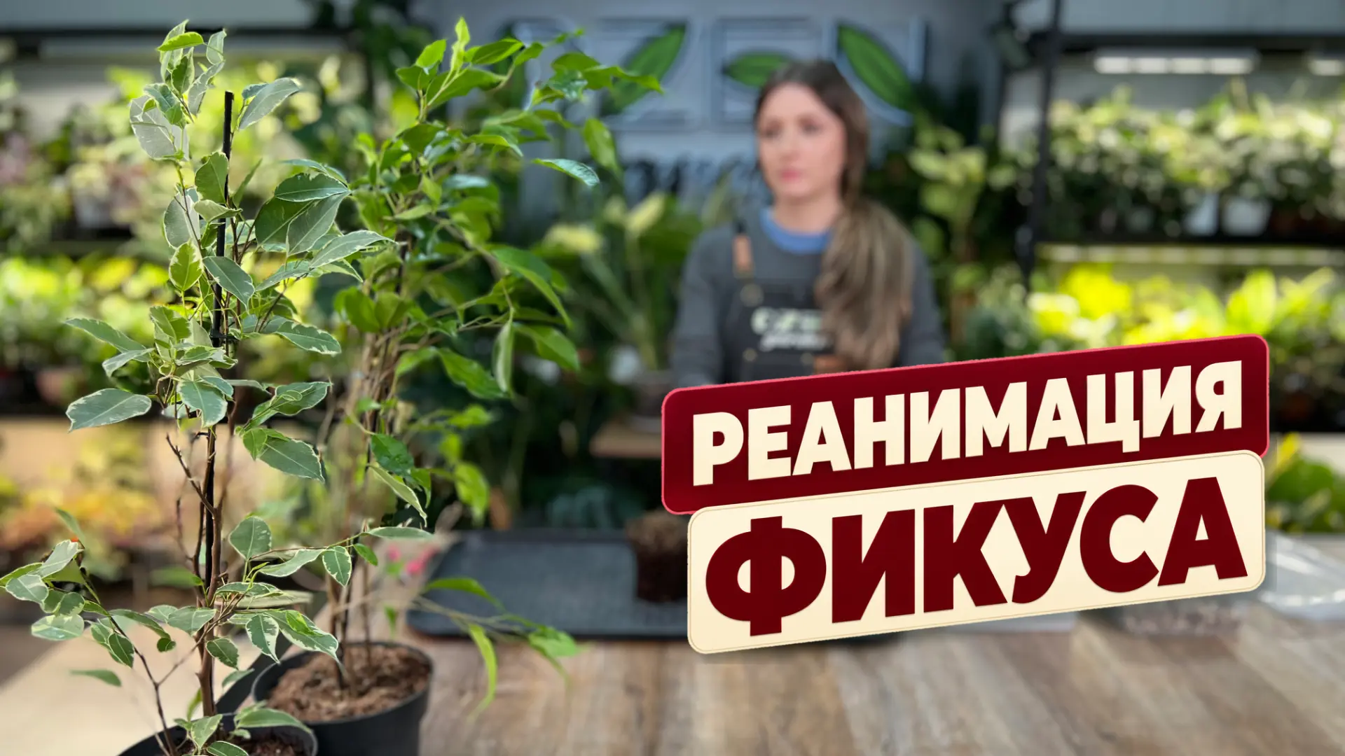 На канале новое видео с реанимацией растений. Приятного просмотра!