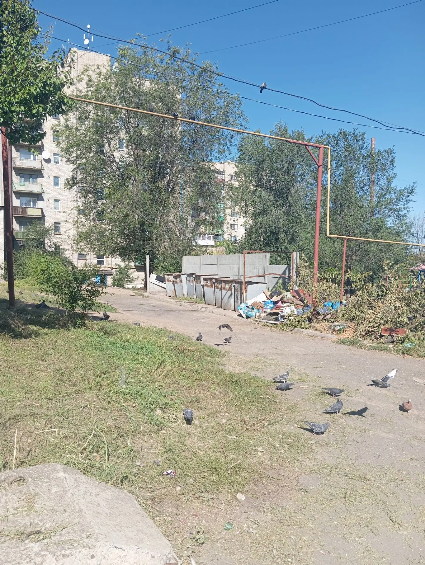 Уборка мусора вокруг контейнерных площадок