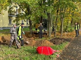 💡 В Кузьмоловском добавят света