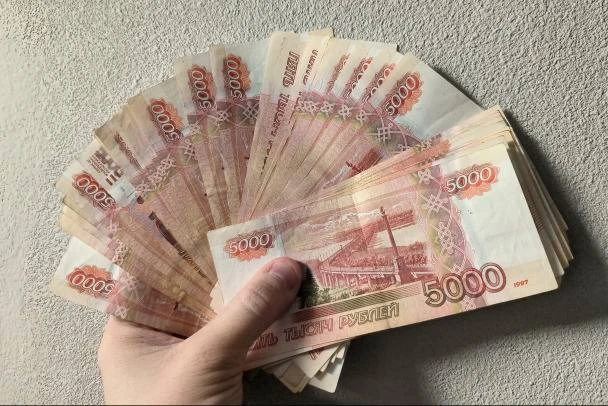 🔴 Бухгалтера из Лужского района отправили в колонию за присвоение миллионов