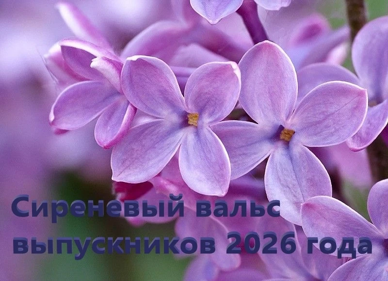Друзья, мы решили запустить акцию «Сиреневый вальс выпускников 2026» для того, чтобы окунуться в про
