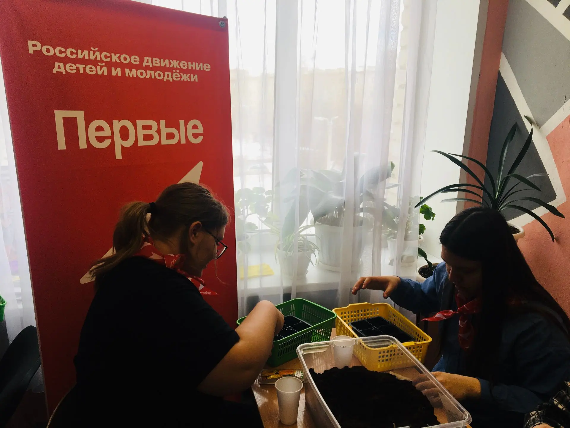 🌿 Зелёный шаг сделан: сажаем будущее своими руками! 🌿    Сегодня в нашей школе произошло маленькое, 