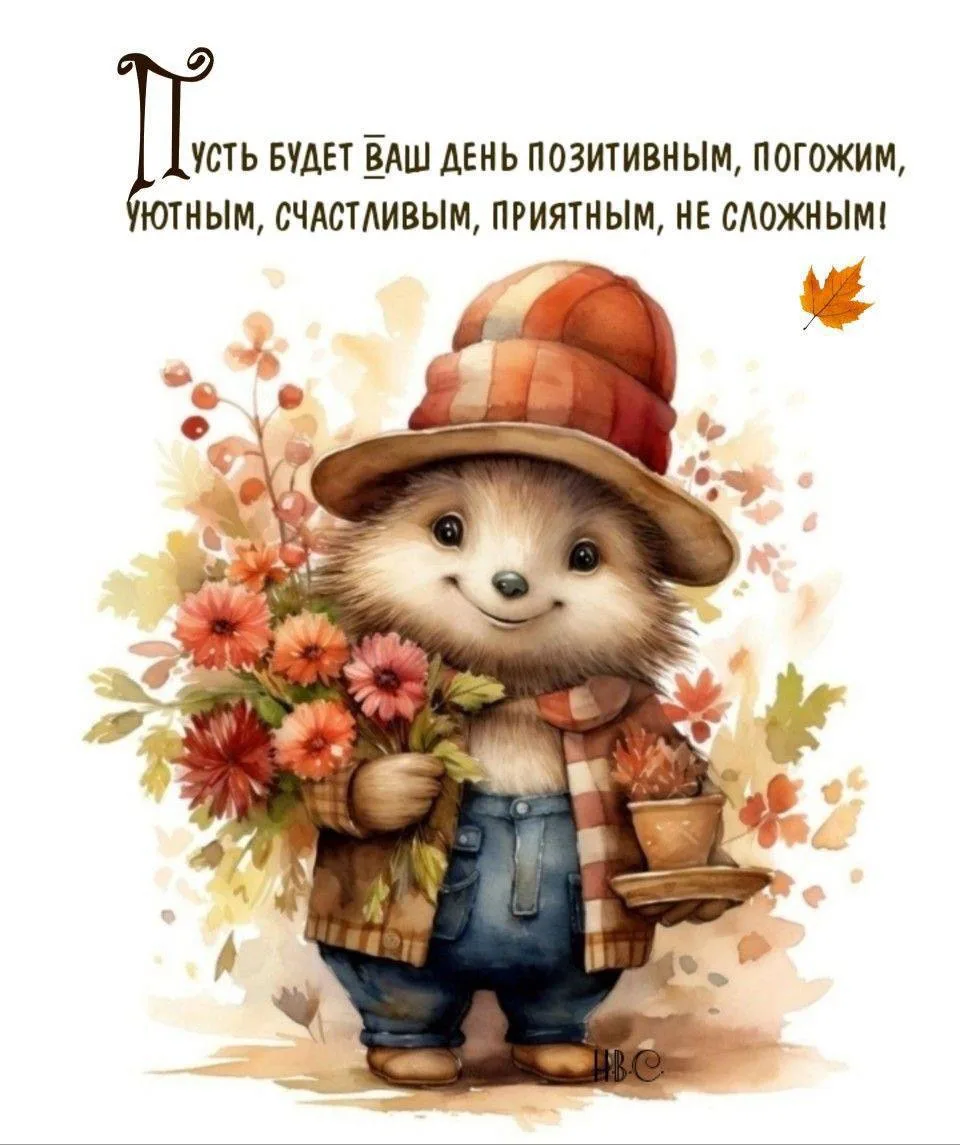 Женские открытки💝