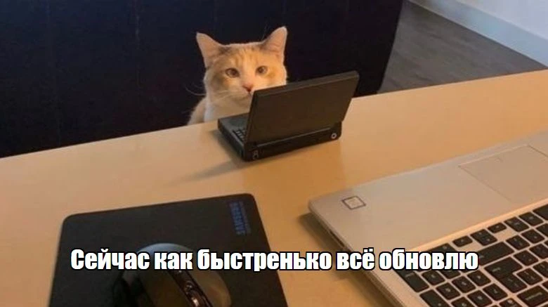 Локалка-2026: лучше спокойно обновить сейчас, чем героически спасать потом  Если документы контрактн