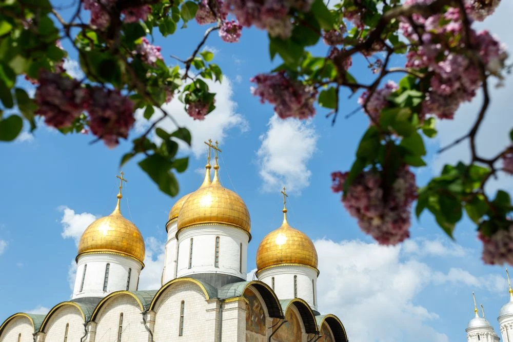 Рубрика #кадрдня напоминает, что наш город прекрасен и что есть еще целая половина воскресенья для п