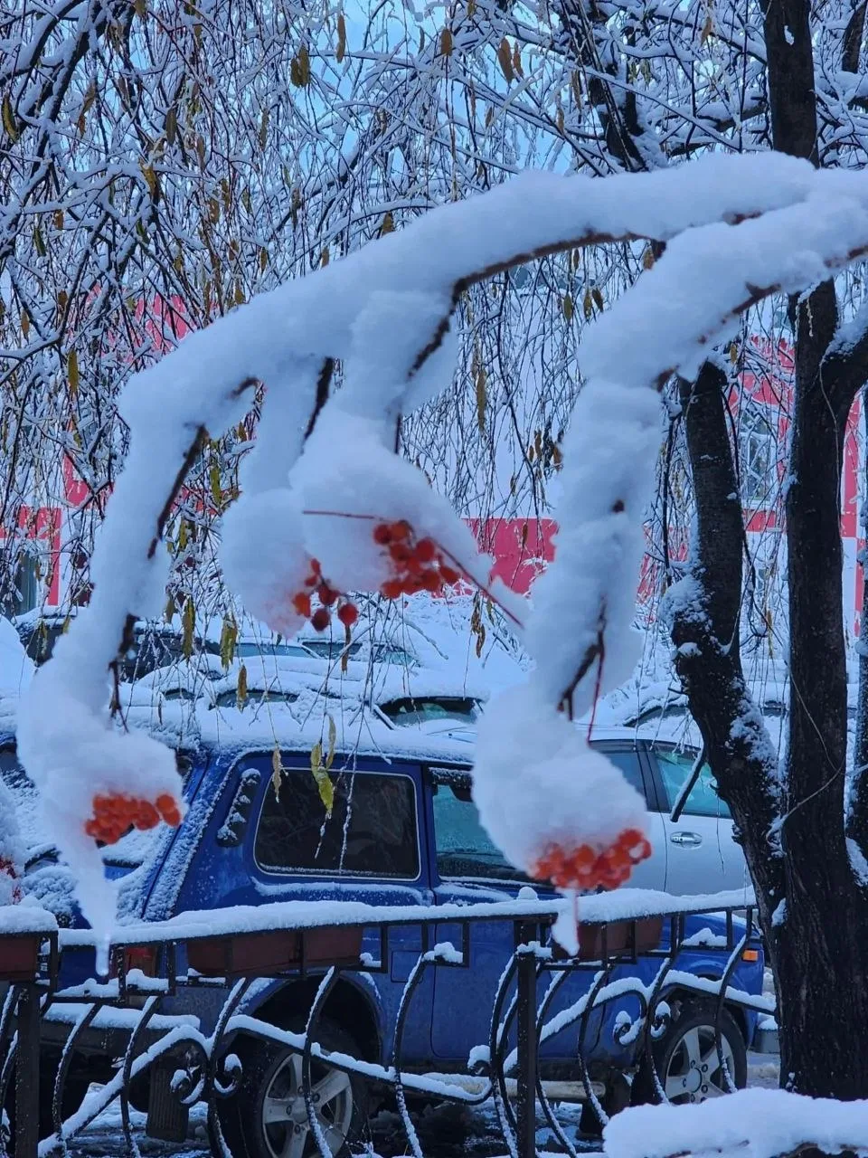 Прекрасного утра, друзья 💙