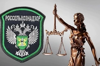 Россельхознадзор через суд пресек продажу незарегистрированных саженцев на маркетплейсе