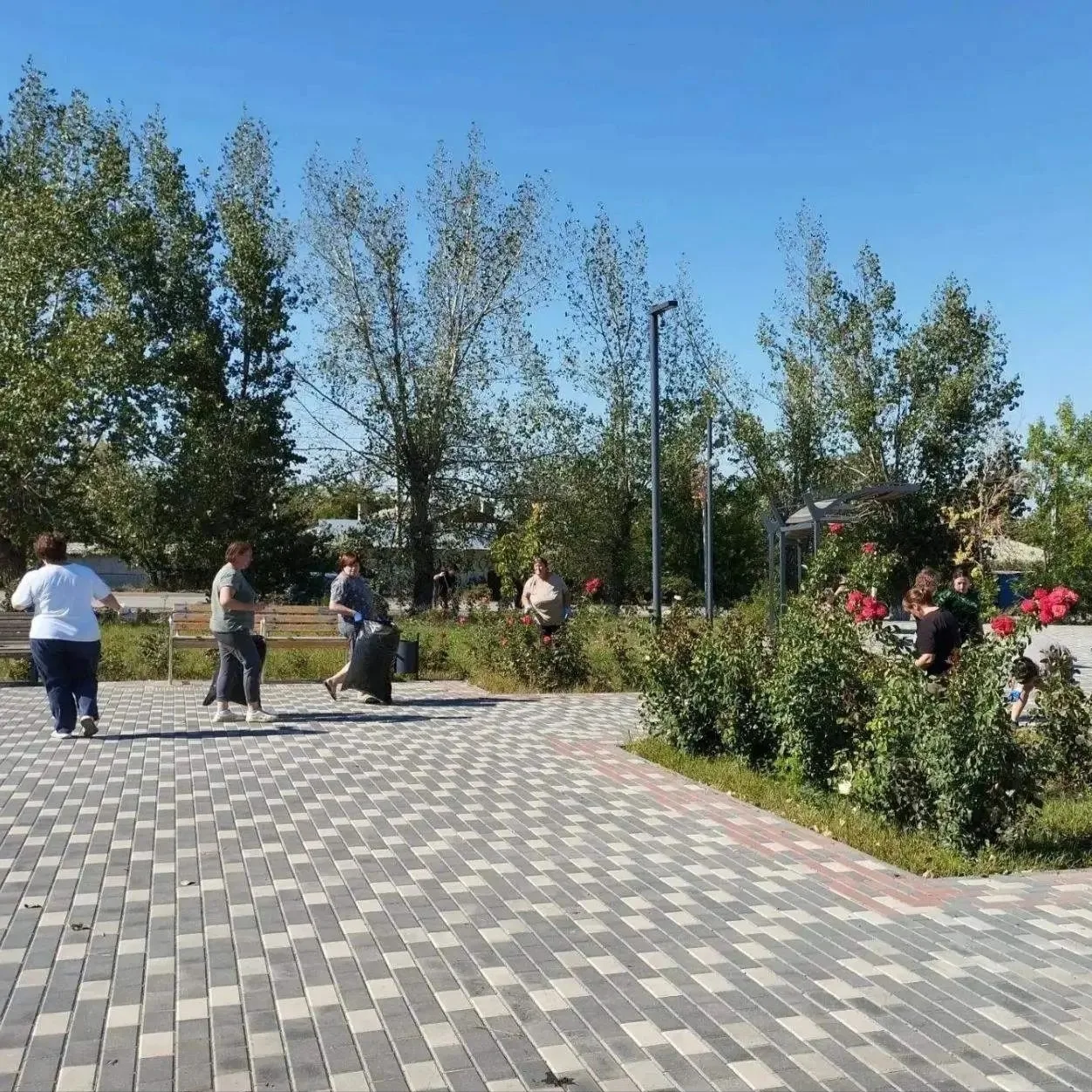 🌳 В Белокалитвинском районе проходит осенний месячник чистоты.