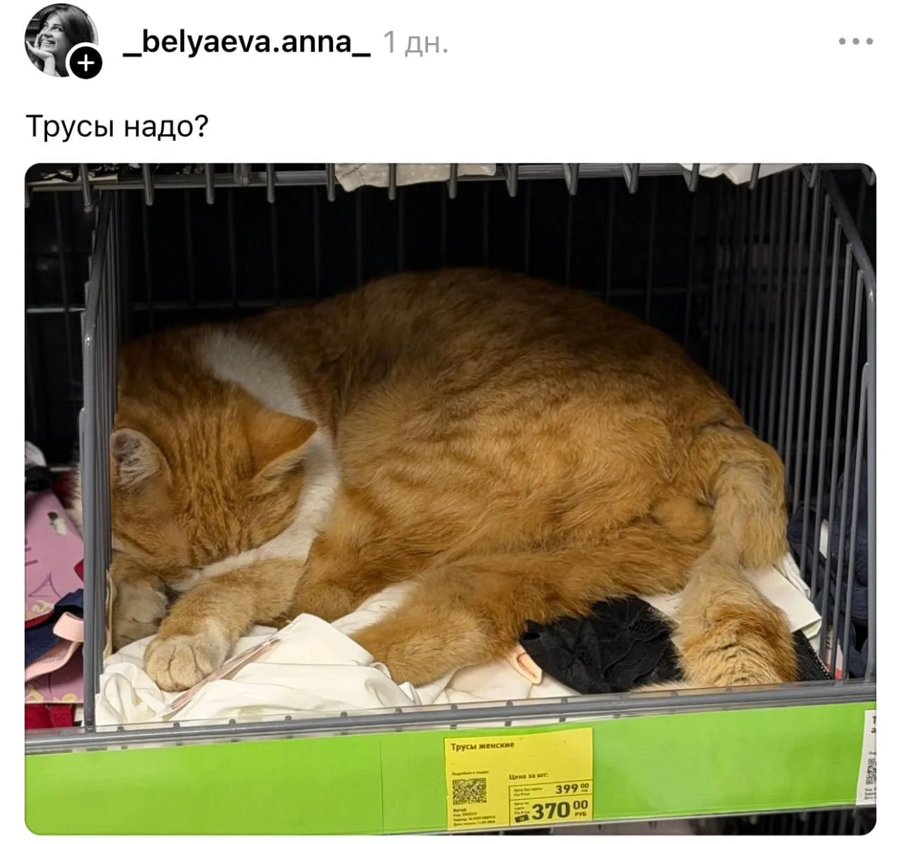 Клиенты одного из магазинов FixPrice заметили необычную находку в разделе с нижним бельём.