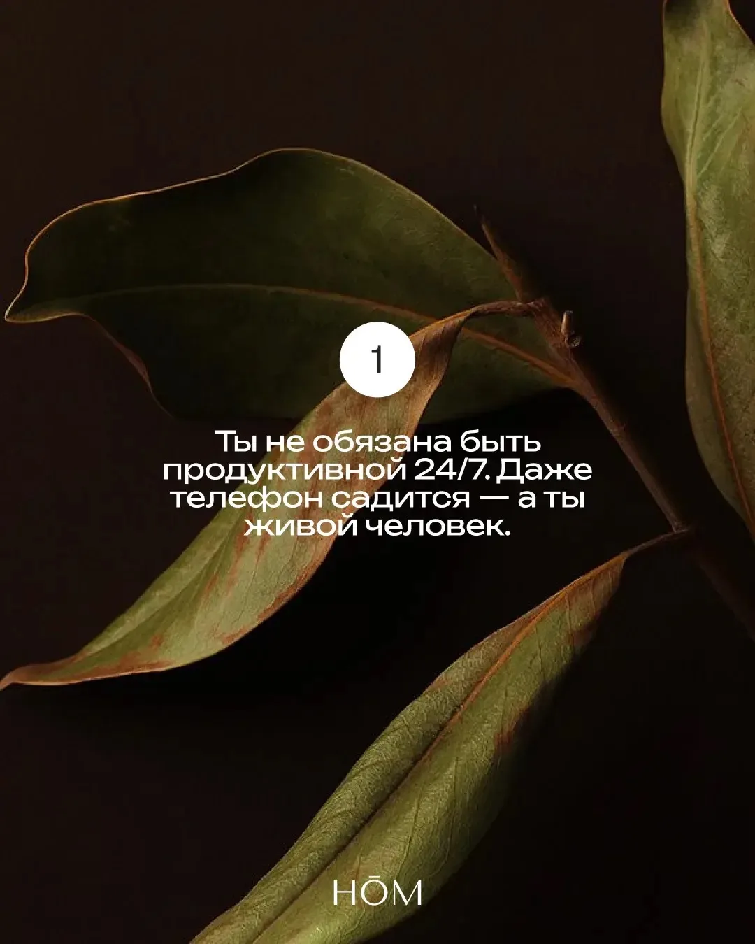 Чтобы сбылось, поставь реакцию🤍