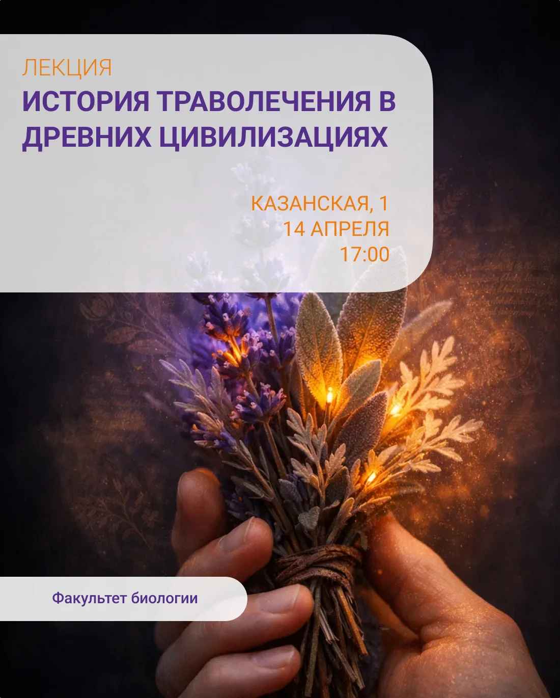 Что лечило людей тогда, когда не было ни аптек, ни таблеток? Ответ — растения. И именно с них начала