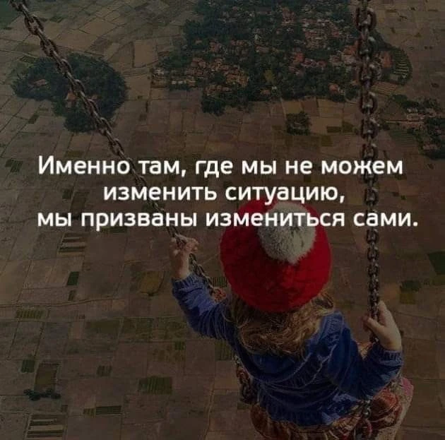 Цитаты жизни