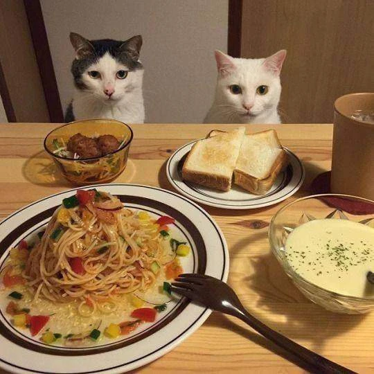 Учёные нашли причину, почему осенью сильнее хочется есть 🍰