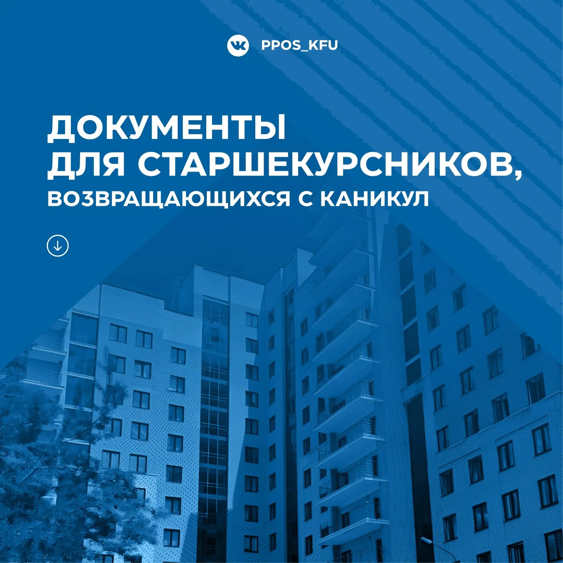👋 Старшекурсники, пора возвращаться домой