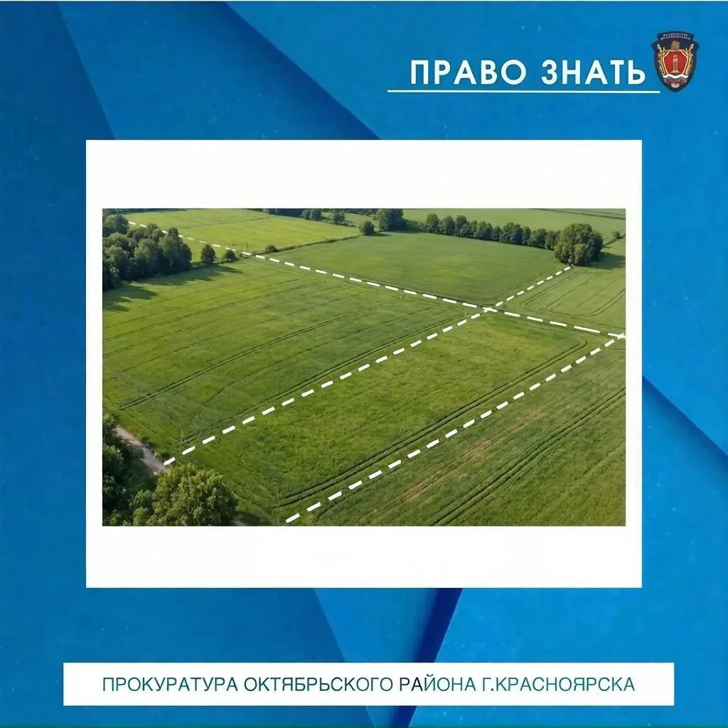 📢По какой цене можно выкупить земельный участок без торгов: новые правила с июня 2026 ...