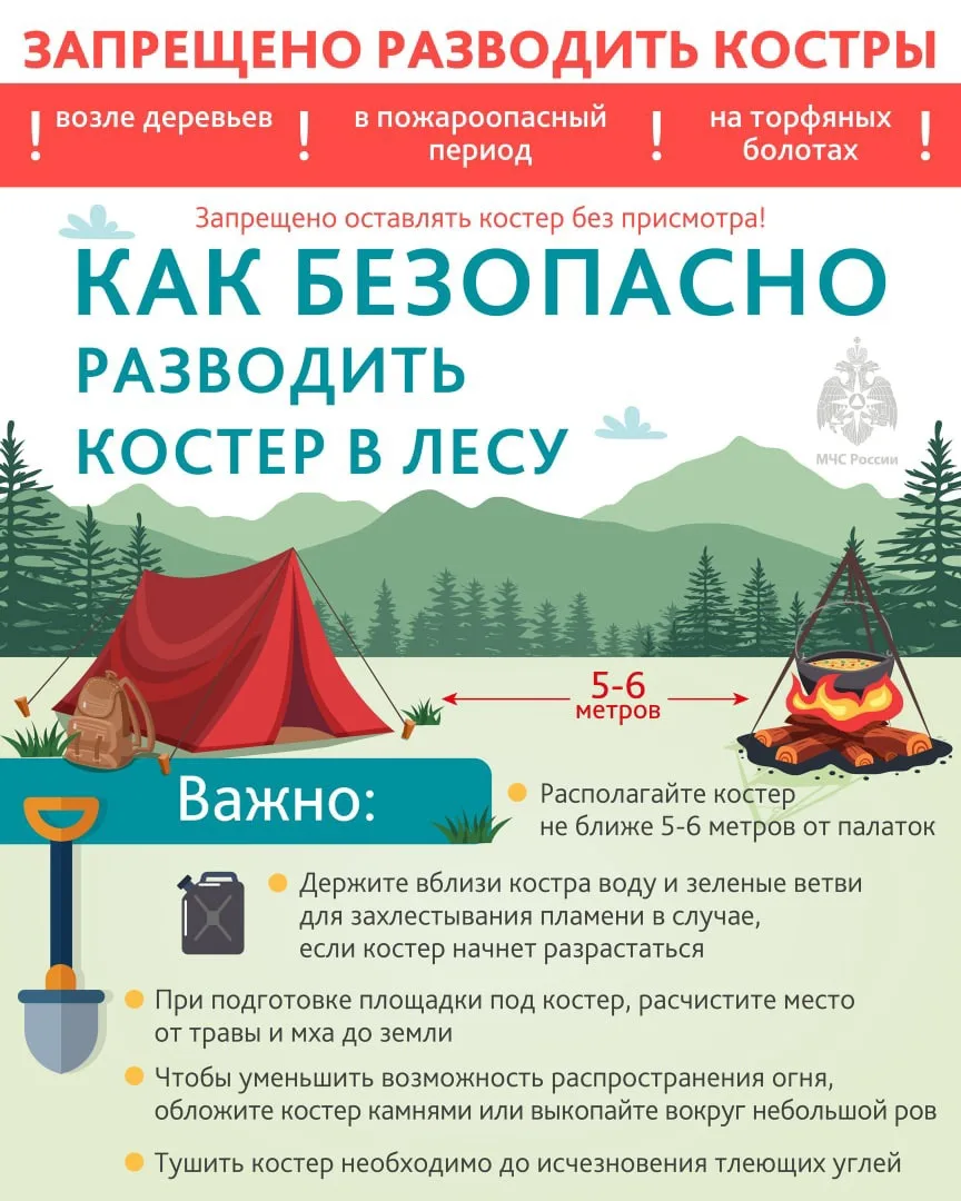 🌲Лес не прощает беспечности

🪾Одна искра — и тысячи гектаров леса превращаются в пепел. И почти вс