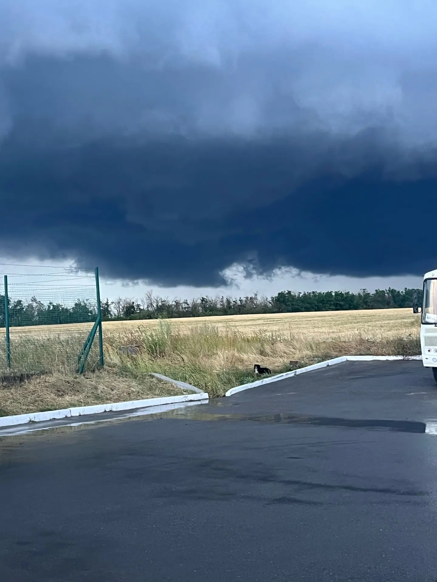 Небо снова затягивает тучами 😱