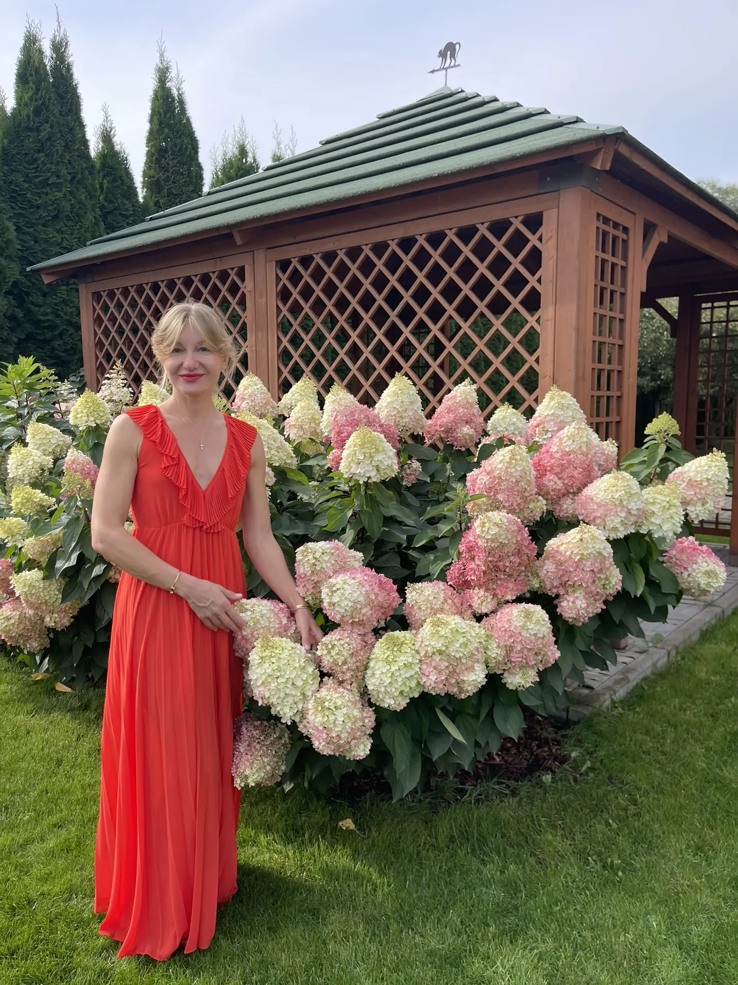 Hydrangea paniculata Pinky Promise | Метельчатая гортензия «Пинки Промис»… — публикация канала «Зелёная Слобода»