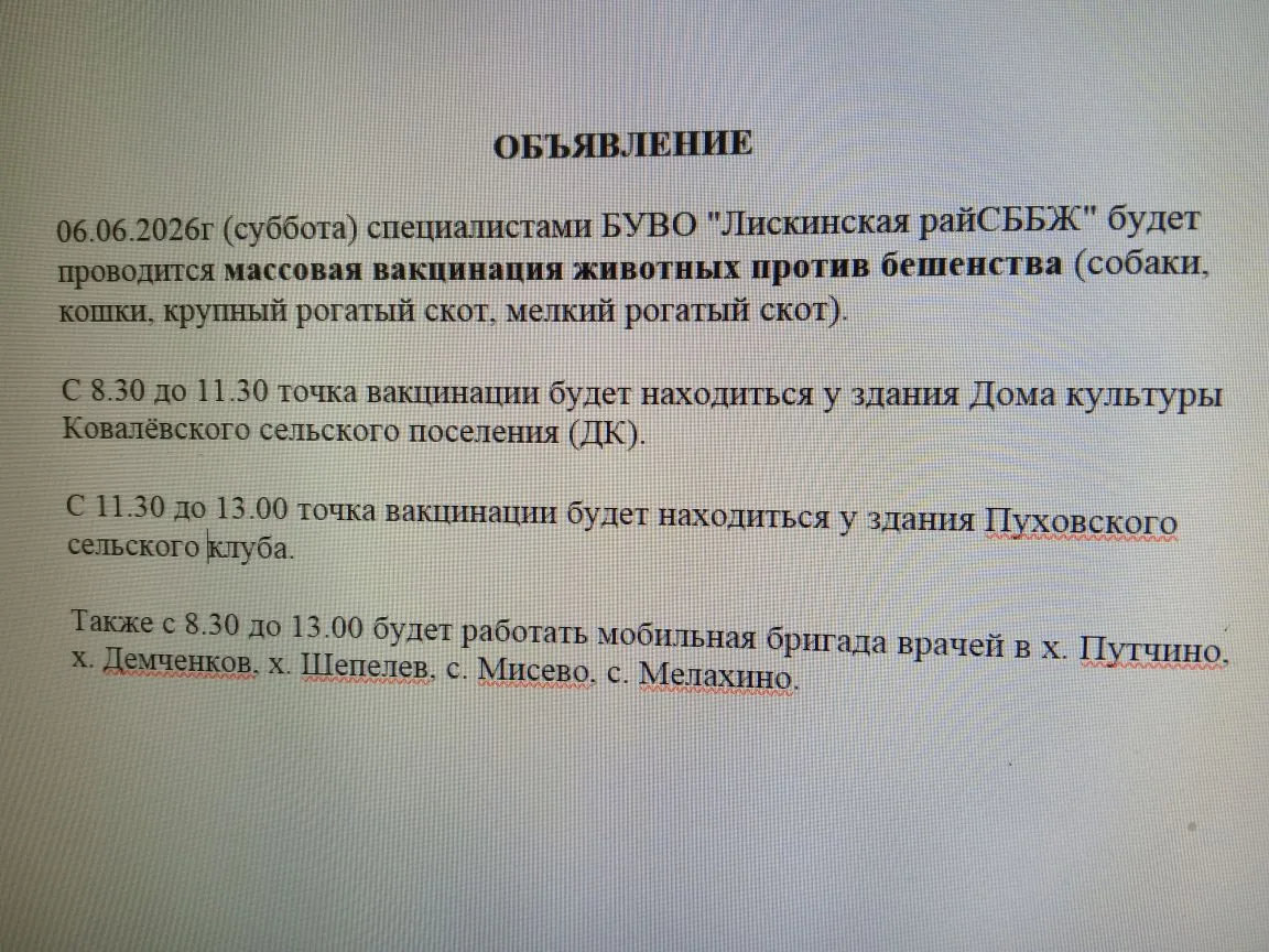 Медиа публикации