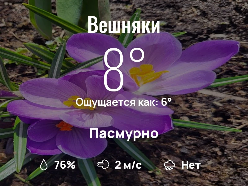 Что с погодой в Вешняках?