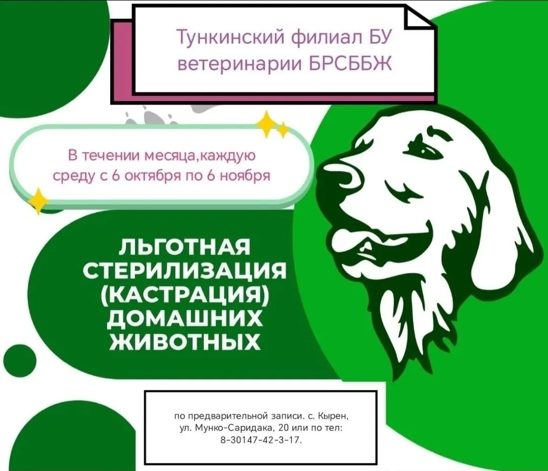 📣Будет проходить