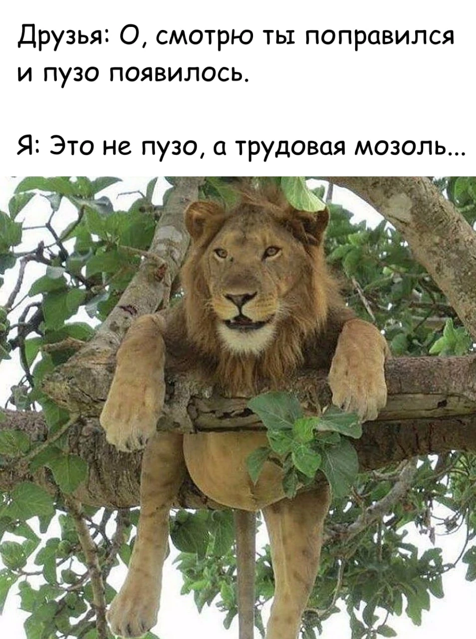 Ветер с Моря Дул